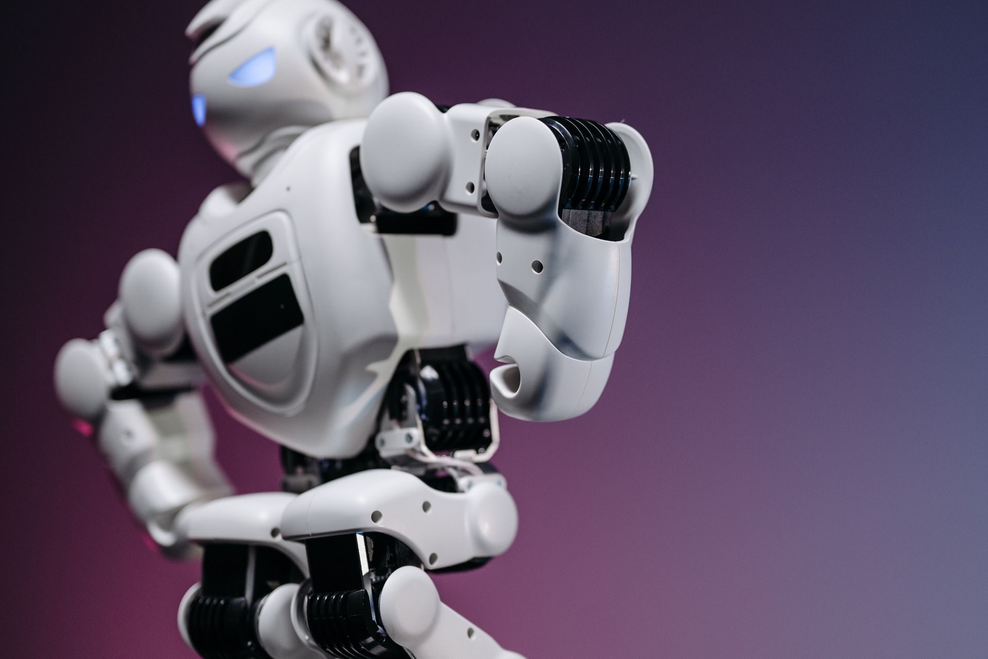 Humanoid robot